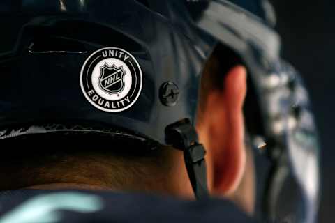 An NHL logo displaying unity and equality (Photo by Steph Chambers/Getty Images)