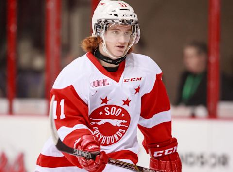 WINDSOR, ON – MARCH 05: Defenceman Mac Hollowell #11 of the Sault Ste. Marie Greyhounds skates in warmups prior to a game against the Windsor Spitfires on March 5, 2015 at the WFCU Centre in Windsor, Ontario, Canada. (Photo by Dennis Pajot/Getty Images)