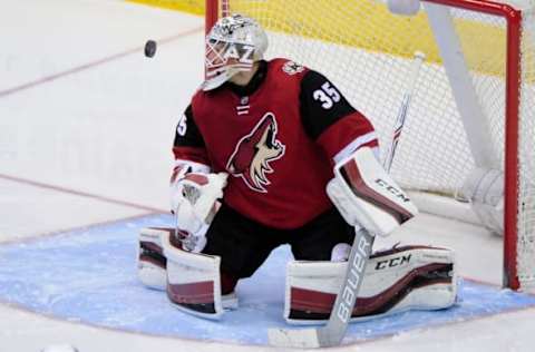 Mar 24, 2016; Glendale, AZ, USA; Arizona Coyotes goalie Louis Domingue (35) watches the puck during the second period against the Dallas Stars at Gila River Arena. Mandatory Credit: Matt Kartozian-USA TODAY Sports