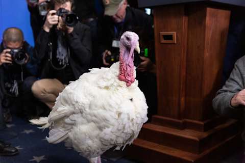 The National Thanksgiving Turkey is presented in the Brady Press Briefing Room of the White House in Washington, D.C., before the pardoning ceremony on Tuesday, Nov. 20, 2018. (Photo by Cheriss May/NurPhoto via Getty Images)