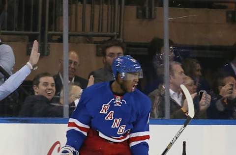 NEW YORK, NY – OCTOBER 27: Anthony Duclair #63 of the New York Rangers celebrates his first NHL goal at 16:12 of the third period against the Minnesota Wild at Madison Square Garden on October 27, 2014, in New York City. The Rangers defeated the Wild 5-4. (Photo by Bruce Bennett/Getty Images)