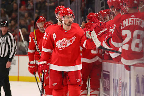 Detroit Red Wings (Photo by Gregory Shamus/Getty Images)