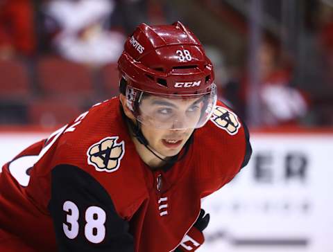 Arizona Coyotes right wing Nick Merkley. Mandatory Credit: Mark J. Rebilas-USA TODAY Sports