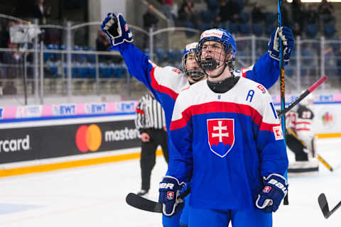 Dalibor Dvorsky (Photo by Jari Pestelacci/Eurasia Sport Images/Getty Images)