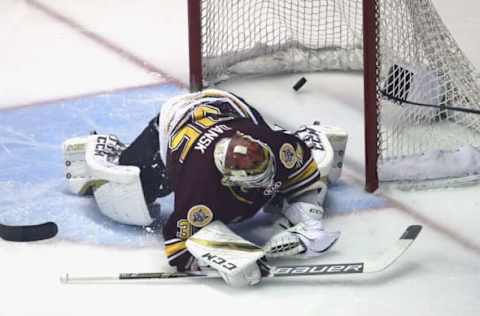 ROSEMONT, ILLINOIS – JUNE 08: The puck slips past Oscar Dansk #35 of the Chicago Wolves on a goal by the Charlotte Checkers during game Five of the Calder Cup Finals at Allstate Arena on June 08, 2019, in Rosemont, Illinois. (Photo by Jonathan Daniel/Getty Images)