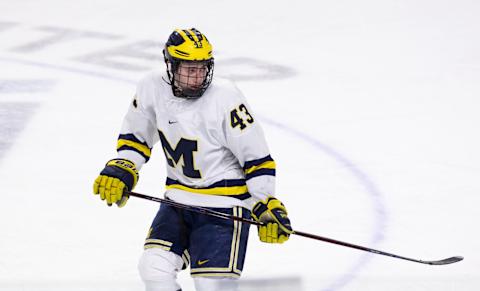 WORCESTER, MA – MARCH 25: Quinn Hughes