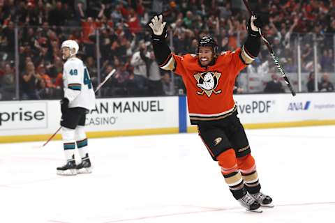 Michael Del Zotto of the Anaheim Ducks (Photo by Sean M. Haffey/Getty Images)