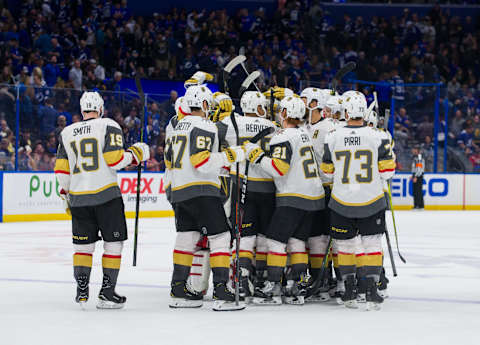 TAMPA, FL – FEBRUARY 5: The Vegas Golden Knights celebrate the shootout win against the Tampa Bay Lightning at Amalie Arena on February 5, 2019 in Tampa, Florida. (Photo by Scott Audette/NHLI via Getty Images)