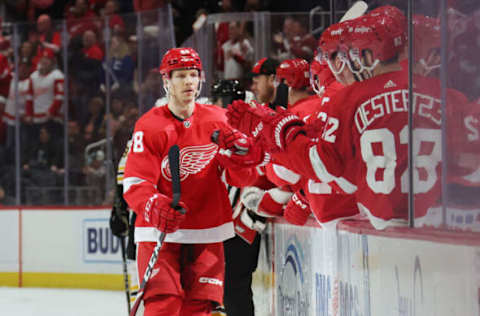 Detroit Red Wings, Alex Chiasson #48. (Photo by Gregory Shamus/Getty Images)