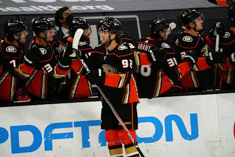 Anaheim Ducks right wing Alexander Volkov (92) Mandatory Credit: Gary A. Vasquez-USA TODAY Sports