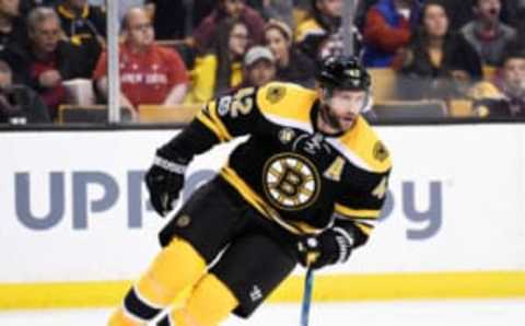 Boston Bruins right wing David Backes (42) skates in the offensive zone (Bob DeChiara-USA TODAY Sports)