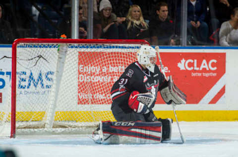 Ethan Anders,  Red Deer Rebels(Photo by Marissa Baecker/Getty Images)