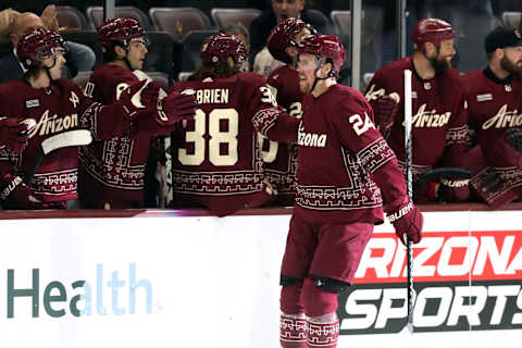 Arizona Coyotes. (Photo by Zac BonDurant/Getty Images)