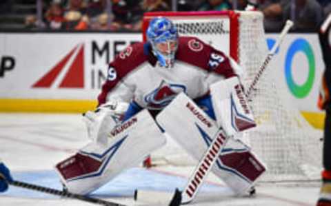 Could Colorado Avalanche move on from Pavel Francouz next offseason?