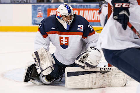 TORONTO, ON – DECEMBER 30: Goaltender Adam Huska