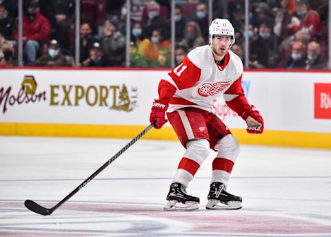 Filip Zadina of the Detroit Red Wings. (Photo by Minas Panagiotakis/Getty Images)