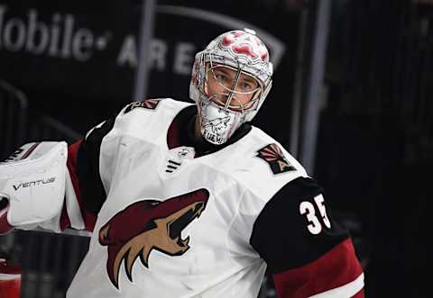 Darcy Kuemper #35 of the Arizona Coyotes (Photo by Ethan Miller/Getty Images)