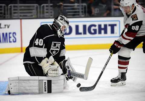 LA Kings (Mandatory Credit: Gary A. Vasquez-USA TODAY Sports)