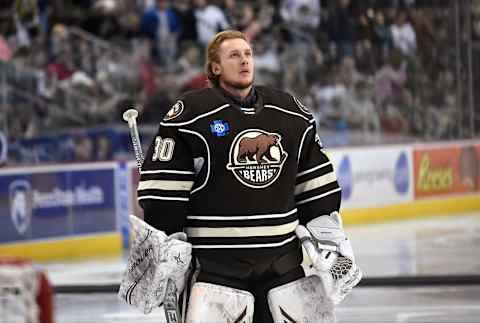 HERSHEY, PA – FEBRUARY 09: Hershey Bears goalie Vitek Vanecek (30) stands for the national anthems before the Charlotte Checkers vs. Hershey Bears AHL game February 9, 2019 at the Giant Center in Hershey, PA. (Photo by Randy Litzinger/Icon Sportswire via Getty Images)