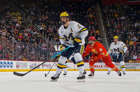 Luke Martin, Michigan Wolverines (Photo by Dave Reginek/Getty Images)