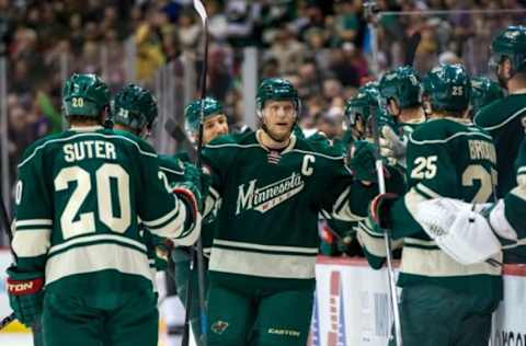 Mar 28, 2015; Saint Paul, MN, USA; Minnesota Wild forward 