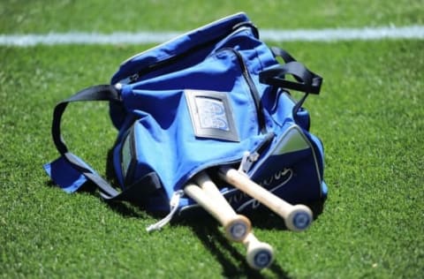 Mar 25, 2015; Phoenix, AZ, USA; The bat bag of Los Angeles Dodgers right fielder Yasiel Puig (not pictured) sits on the field before the game against the San Diego Padres at Camelback Ranch. Mandatory Credit: Joe Camporeale-USA TODAY Sports