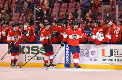 NHL Power Rankings: Florida Panthers right wing Jaromir Jagr (68) celebrates after scoring a goal against the Ottawa Senators during the first period at BB&T Center. Mandatory Credit: Jasen Vinlove-USA TODAY Sports