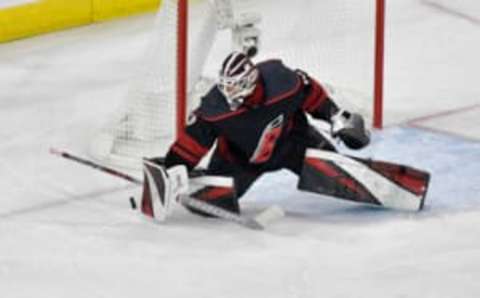 RALEIGH, NORTH CAROLINA – MAY 16: Curtis McElhinney (Photo by Grant Halverson/Getty Images)