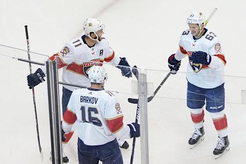 Florida Panthers (Photo by Andre Ringuette/Freestyle Photo/Getty Images)