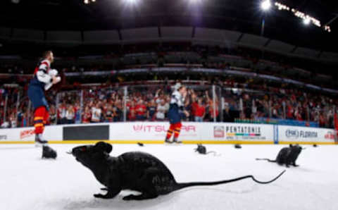 SUNRISE, FL – APRIL 9: Victory Rats strewn the ice after the Florida Panthers beat the Carolina Hurricanes 5-2 at the BB