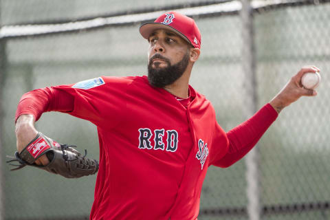 FT. MYERS, FL – FEBRUARY 14: David Price