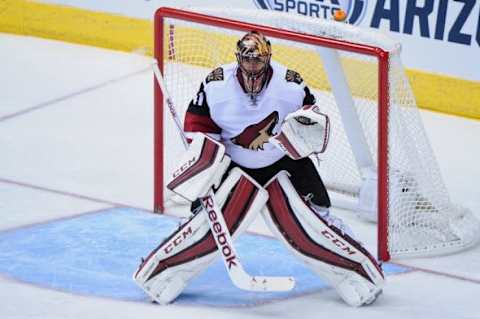 Nov 5, 2015; Glendale, AZ, USA; Arizona Coyotes goalie Mike Smith (41) watches the puck during the second period against the Colorado Avalanche at Gila River Arena. Mandatory Credit: Matt Kartozian-USA TODAY Sports