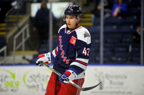 BRIDGEPORT, CT – DECEMBER 5: Libor Hajek #43 of the Hartford Wolf Pack skates during a brief stoppage in play during a game against the Bridgeport Sound Tigers at the Webster Bank Arena on December 5, 2018 in Bridgeport, Connecticut. (Photo by Gregory Vasil/Getty Images)