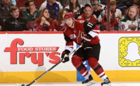 GLENDALE, AZ – APRIL 08: Radim Vrbata. Photo by Norm Hall/NHLI via Getty Images)