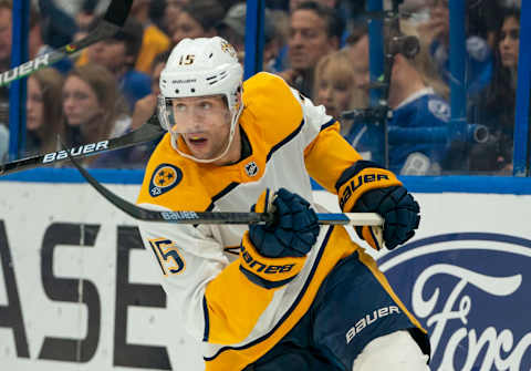 Nashville Predators (Photo by Andrew Bershaw/Icon Sportswire via Getty Images)