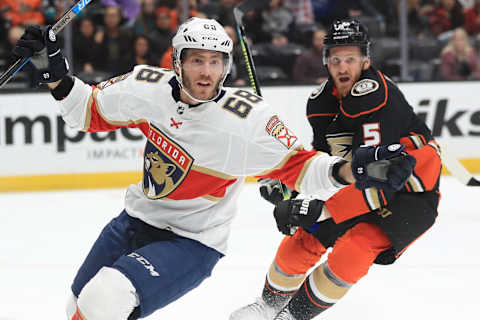 Mike Hoffman #68 of the Florida Panthers (Photo by Sean M. Haffey/Getty Images)