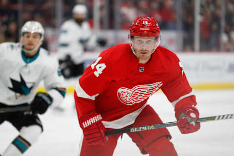 Feb 24, 2019; Detroit, MI, USA; Detroit Red Wings right wing Gustav Nyquist (14) looks on from the ice during the third period against the San Jose Sharks at Little Caesars Arena. Mandatory Credit: Raj Mehta-USA TODAY Sports