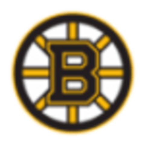 Boston Bruins