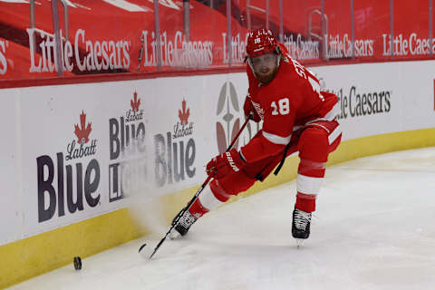 DETROIT, MICHIGAN – JANUARY 30: Marc Staal #18 of the Detroit Red Wings skates against the Florida Panthers at Little Caesars Arena on January 30, 2021 in Detroit, Michigan. (Photo by Gregory Shamus/Getty Images)