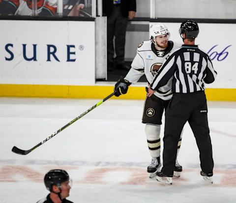 Lucas Johansen, Hershey Bears