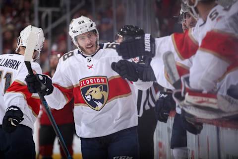 GLENDALE, ARIZONA – FEBRUARY 25: Mike Hoffman #68 of the Florida Panthers . (Photo by Christian Petersen/Getty Images)