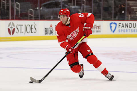 DETROIT, MICHIGAN – FEBRUARY 15: Bobby Ryan #54 of the Detroit Red Wings (Photo by Gregory Shamus/Getty Images)