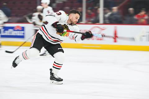 Chicago Blackhawks center Max Domi (13): David Kirouac-USA TODAY Sports