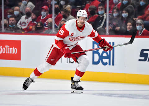 Detroit Red Wings defenseman, Danny DeKeyser. (Photo by Minas Panagiotakis/Getty Images)