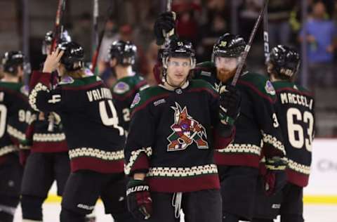 Troy Stecher #51, Arizona Coyotes (Photo by Christian Petersen/Getty Images)