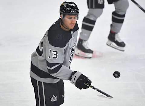 LA Kings (Mandatory Credit: Robert Hanashiro-USA TODAY Sports)