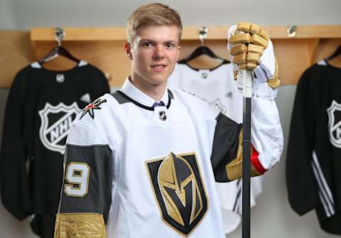 Pavel Dorofeyev (Photo by Andre Ringuette/NHLI via Getty Images)