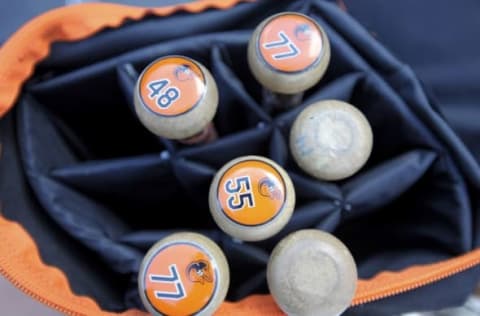 Jun 14, 2016; Boston, MA, USA; Baltimore Orioles bats in a bat bag prior to a game against the Boston Red Sox at Fenway Park. Mandatory Credit: Bob DeChiara-USA TODAY Sports