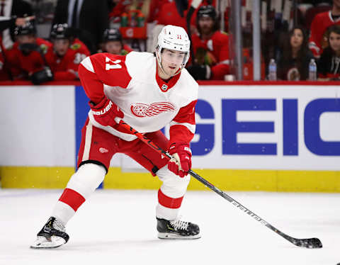 Filip Zadina #11 of the Detroit Red Wings. (Photo by Jonathan Daniel/Getty Images)