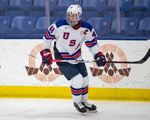 Jake Sanderson (Photo by Dave Reginek/Getty Images)